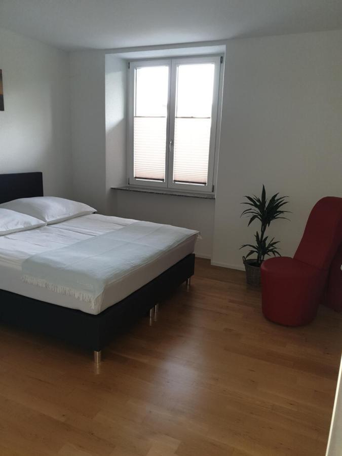 Business Apartment Turgi Экстерьер фото