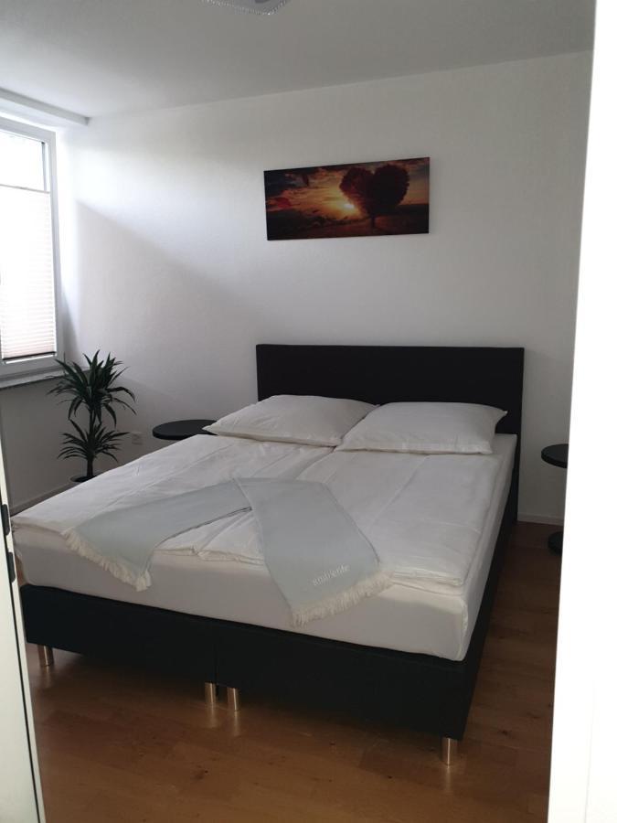 Business Apartment Turgi Экстерьер фото