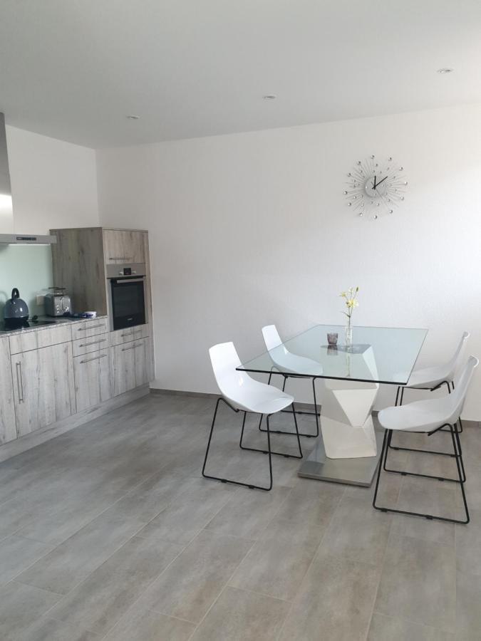 Business Apartment Turgi Экстерьер фото